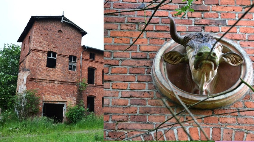 Kilka lat temu właściciel wystawił rzeźnię na sprzedaż,...