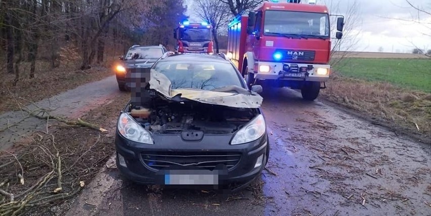 Skutki wichury na Pomorzu. 16/17.02.2022 r. Wiatr w porywach sięga do 120 km/h