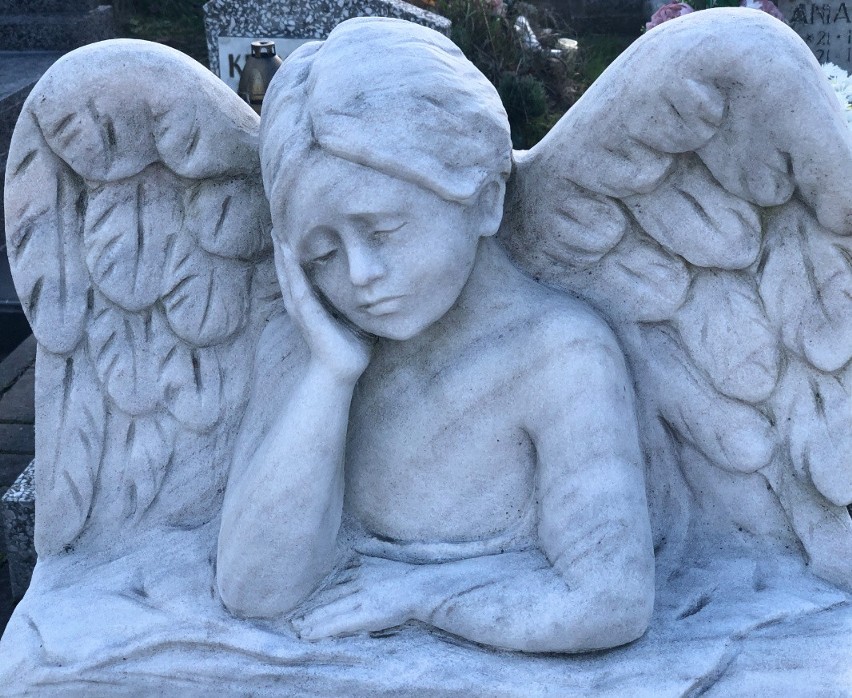 Aniołki i dzieci - najpiękniejsze rzeźby, figurki oraz znicze na rzeszowskich cmentarzach [ZDJĘCIA]