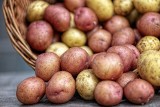 Kolorowe ziemniaki - białe, żółte, czerwone, pomarańczowe, różowe, a nawet fioletowe. Co je różni? Sprawdź!