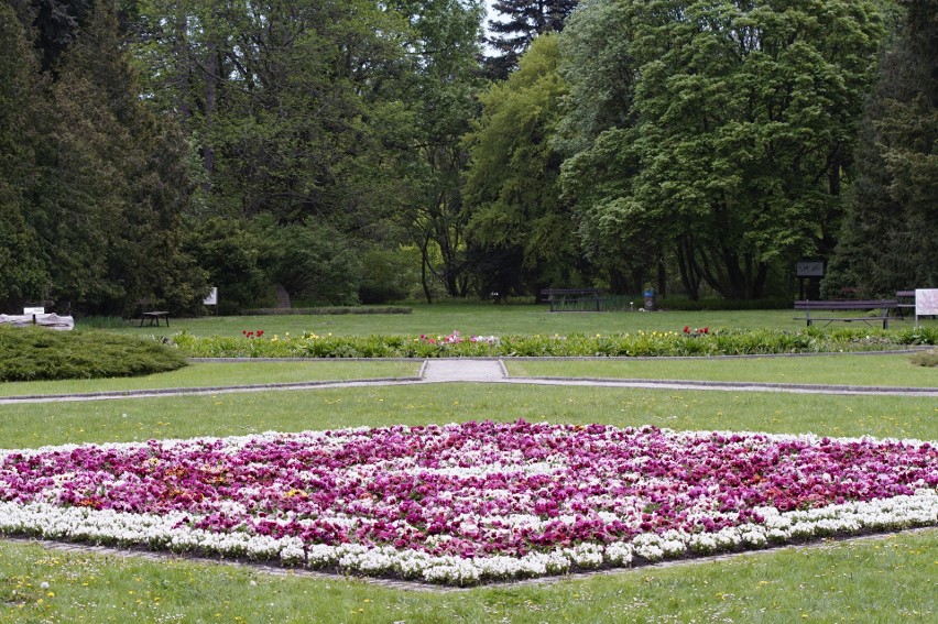 Ogród Botaniczny UAM w Poznaniu w maju!...