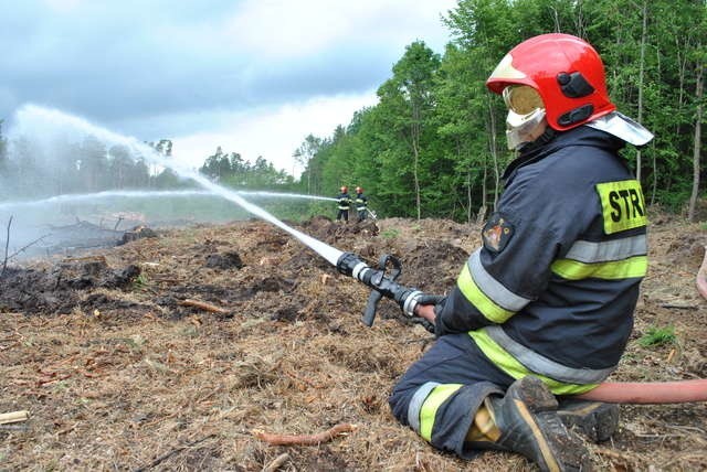 pożar lasu, akcja gaśnicza