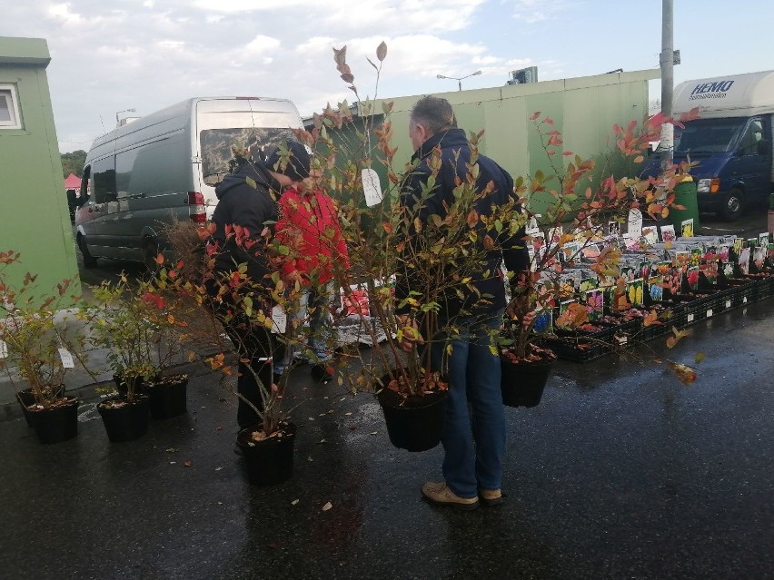 Ładna pogoda sprawiła, że na giełdę w Sandomierzu...