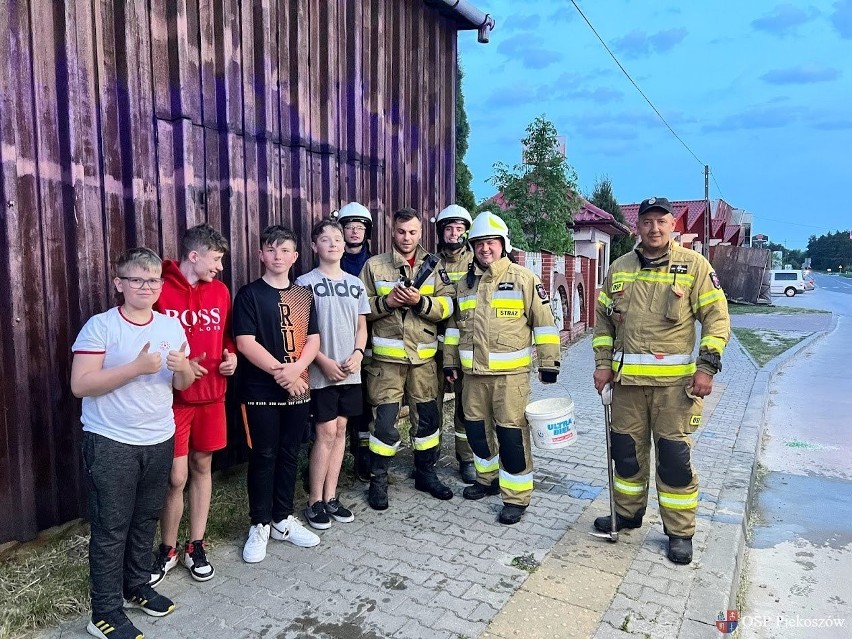 Piękna akcja strażaków z Ochotniczej Straży Pożarnej w Piekoszowie. Uwolnili małego kotka ze studzienki kanalizacyjnej. Zobacz zdjęcia
