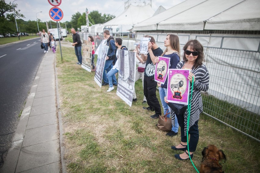 Protestowali przeciw cierpieniu zwierząt w cyrkach [ZDJĘCIA]