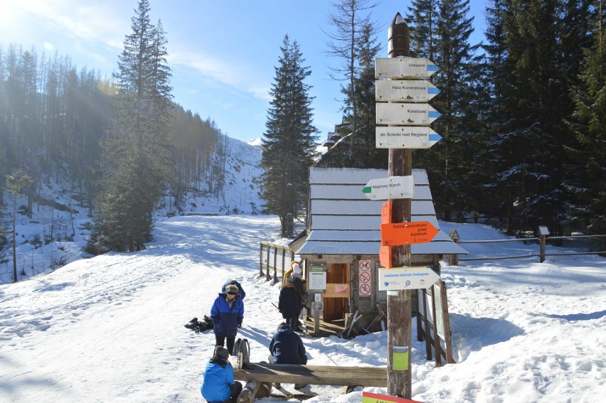 Tatry. Piękny dzień w górach. Tłumy szturmują Kasprowy Wierch [ZDJĘCIA]