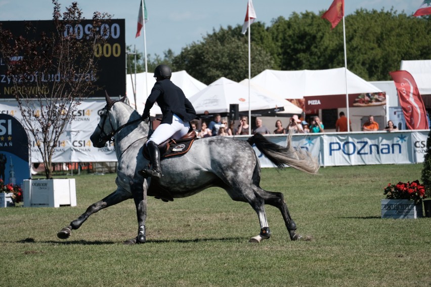 Włoski jeździec wygrał Grand Prix Poznania