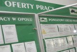 Na Opolszczyźnie nie ma pracy dla 60-latków