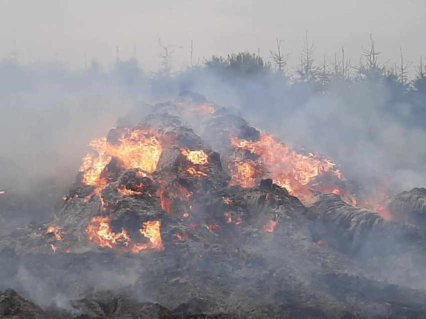 Potężny pożar w Bierkowie. Udało się uratować zwierzęta.