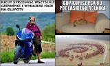 Memy o rolnikach i polskiej wsi. Nieco uśmiechu między protestami, które przelewają się przez Polskę