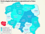 Nie płacą alimentów. Rekordziści mają 191 tys. długu