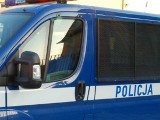 Policyjny radiowóz zderzył się z dzikiem na Kaszubskiej w Słupsku