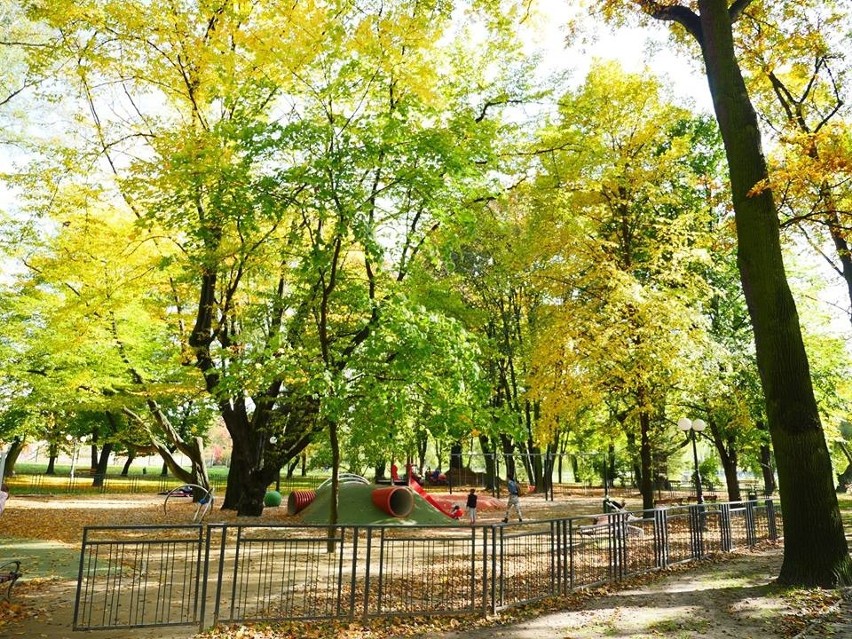 Złota jesień w wodzisławskim parku miejskim
