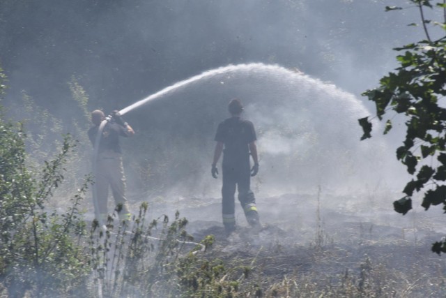 Pożar wybuchł w bydgoskim Mariampolu. Płomienie objęły trawy. 