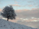 Bieszczady w śniegu [piękne zdjęcia]