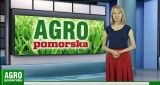 AGRO Pomorska odcinek 8. Zbiory, wypadki i pszczoły [wideo]