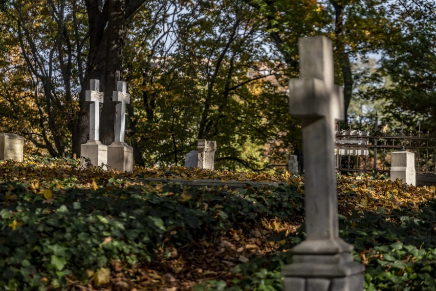 Cmentarz Zasłużonych Wielkopolan to jedna z najstarszych...