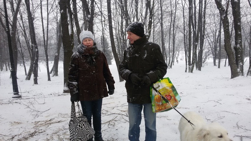 Spacer zimą? Najlepszy w Parku Śląskim - zachwala pan Włodzimierz [WIDEO]