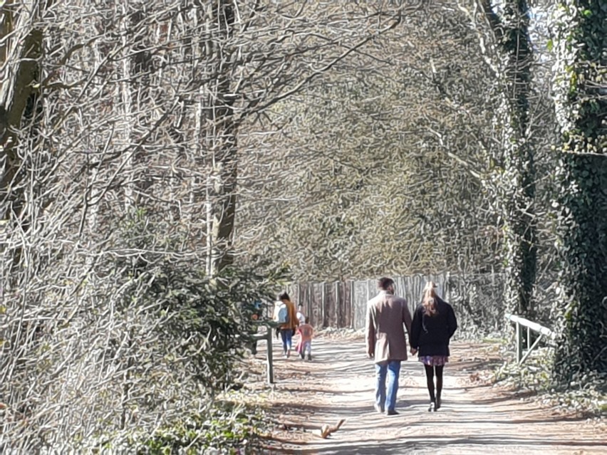 Arboretum w Rogowie zachęcało, aby korzystać z...