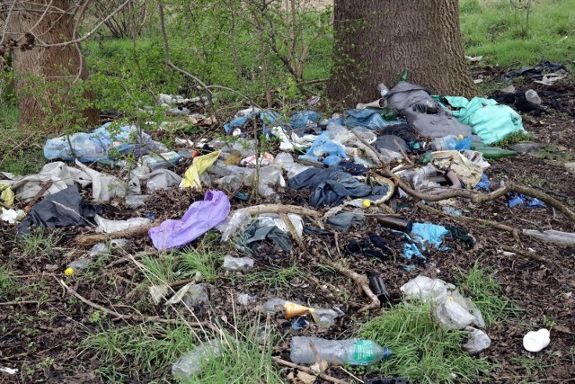 Dzikie wysypisko śmieci w Legnicy. 