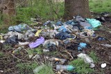 Śmieci w lesie nie brakuje. Znalazłeś porzucone odpady? Zgłoś to! Dzięki aplikacjom zlikwidowano wiele nielegalnych wysypisk