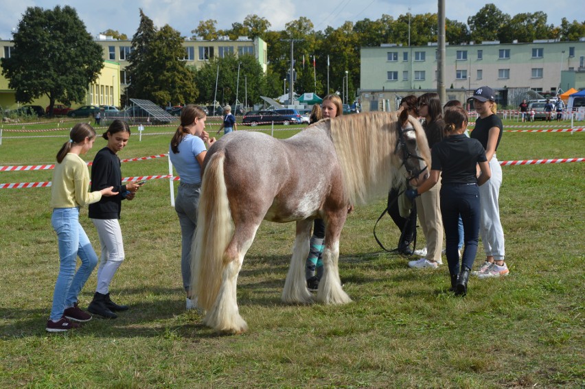 Barzkowickie Targi Rolne 2022 cz. 2 galerii