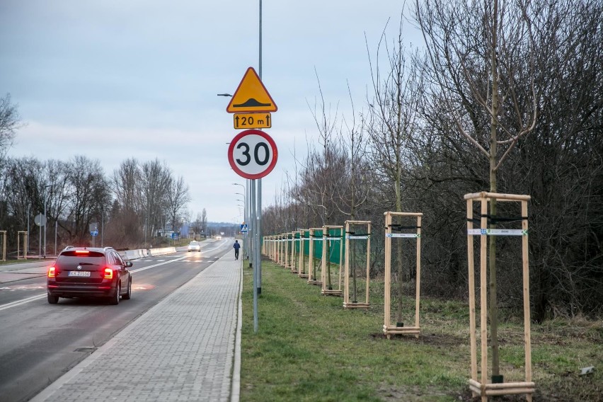 Kraków. Ważna informacja dla mieszkańców Złocienia: autobusy pojadą ulicą Domagały