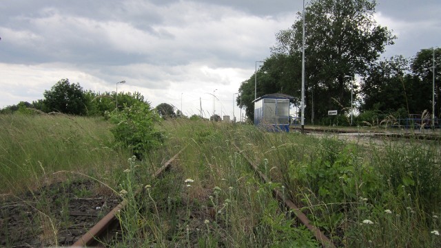 Linia nr 415, tak wygląda na stacji Gorzów Wielkopolski Wieprzyce