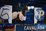 Cavaliada 2014: Leszek Gramze z AgroHandlu Śrem wygrał pierwszy konkurs