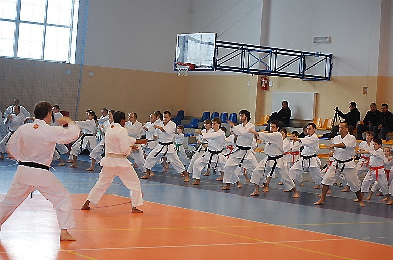 Brodnica. Trening karateków z klubów Nihon Karate-do Shotokan 