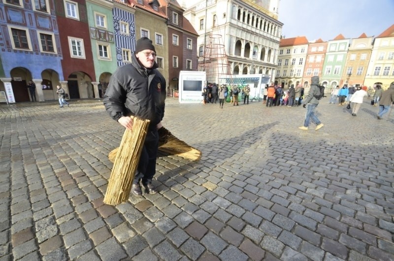 Zielone, ośmiometrowe drzewko jak co roku stanie na Starym...