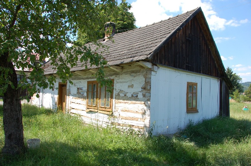 Olszyny k. Tarnowa. Jego pan zmarł 3 lata temu, ale kundelek Kuba wciąż czeka