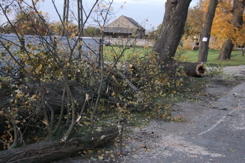 - Strażacy do tej pory interweniowali 51 razy. W pięciu...