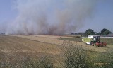 Pożar w Bidzinach. Płonęło ściernisko 