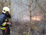 Leśnictwo Lipowiec. Strażacy walczyli z pożarem lasu (zdjęcia)