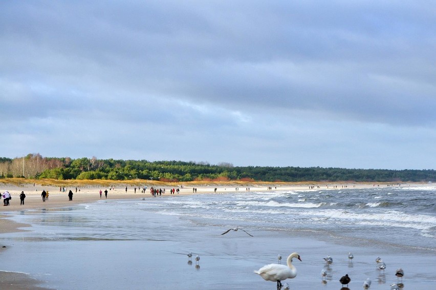 Święta nad morzem. Plaża i promenada w Świnoujściu pełne spacerowiczów [WIDEO, ZDJĘCIA]