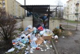 Poznań: GOAP nałożył kary na firmy śmieciowe. Za co?