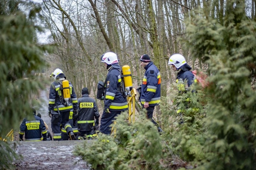 Minęło 17 dni od zaginięcia Michała Rosiaka. Niedzielne...