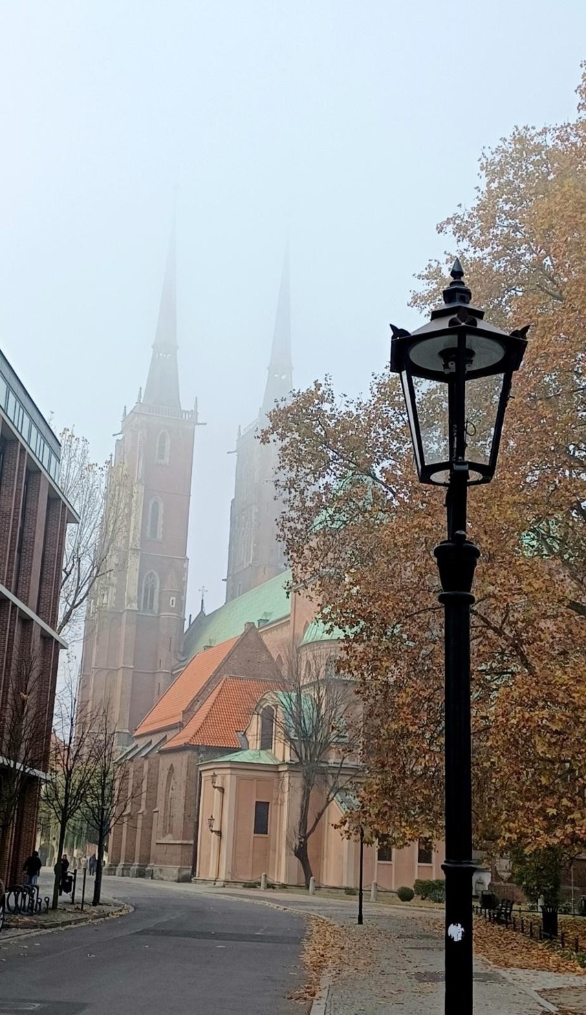 Ostrów Tumski to niezwykle romantyczne miejsce, nawet kiedy...