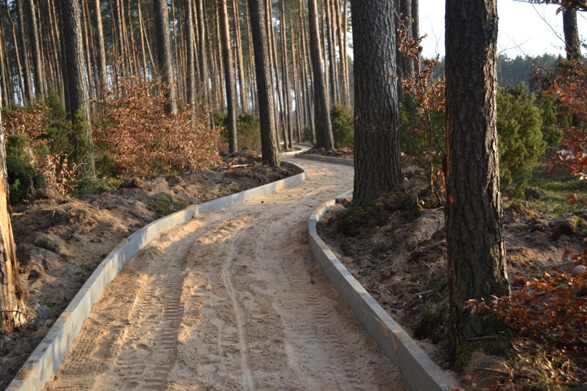 Cała trasa przyszłej ścieżki rowerowej jest już...