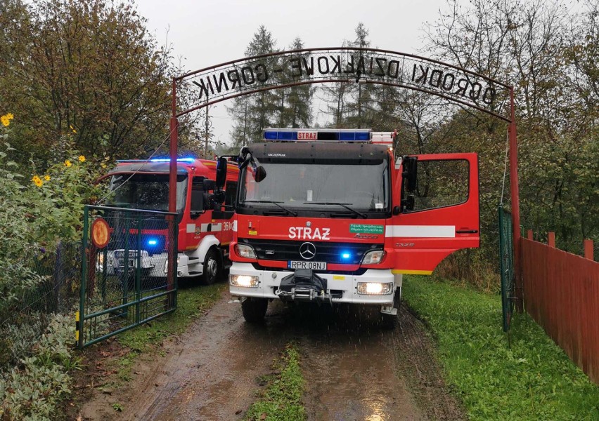 Tragiczny pożar na ogródkach działkowych przy ul. Wysockiego w Przemyślu. Trwa ustalanie tożsamości ofiary [ZDJĘCIA, WIDEO]