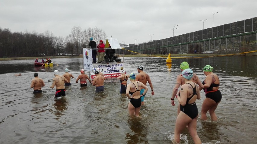 Mistrzostwa Polski w pływaniu zimowym w Katowicach