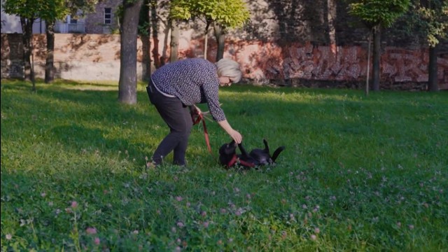 Agnieszka Stefaniak-Zubko, pomysłodawczyni PsiLądka Dobrej Zabawy, wraz ze swoimi pupilem w miejscu, w którym powstanie plac zabaw dla psów w Starym Sosnowcu. Zobacz kolejne zdjęcia. Przesuń w prawo - wciśnij strzałkę lub przycisk NASTĘPNE