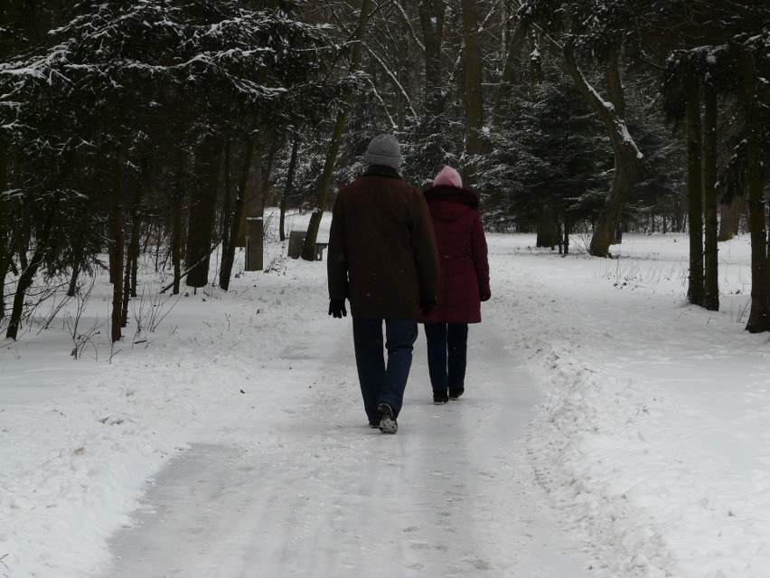 Pabianice. Zima w pabianickich parkach ZDJĘCIA