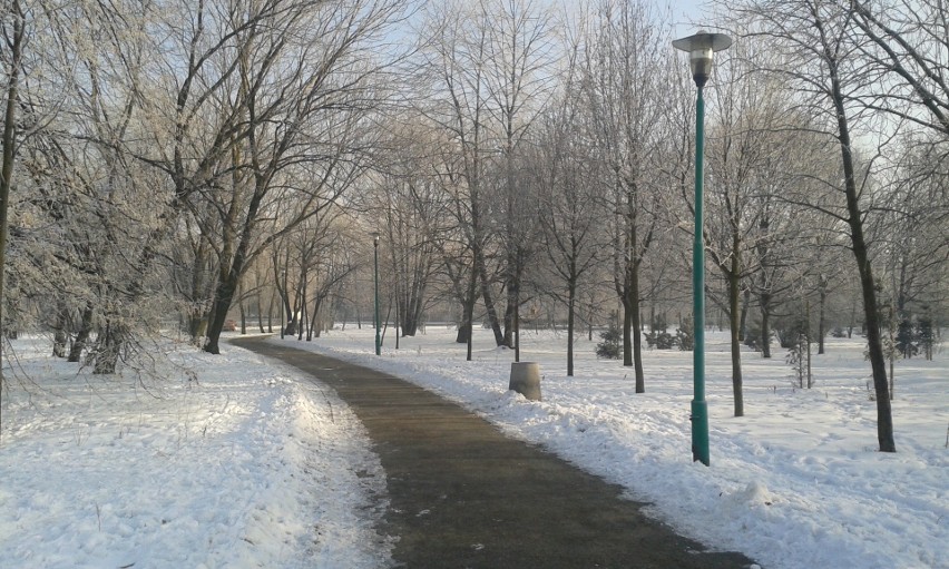 Sosnowiec: na Stawikach na razie zima, a niedługo zmiany [ZDJĘCIA]