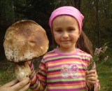 Grzybobranie: Natalia znalazła wielkiego prawdziwka