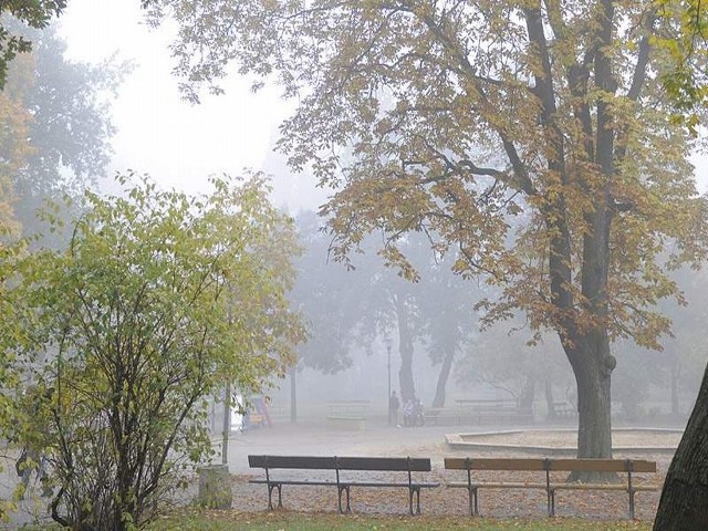 Pogoda na dziś, 9 grudnia, województwo kujawsko-pomorskie