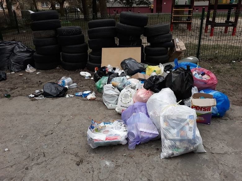 Bydgoskie ulice toną w śmieciach. Szczury się cieszą...