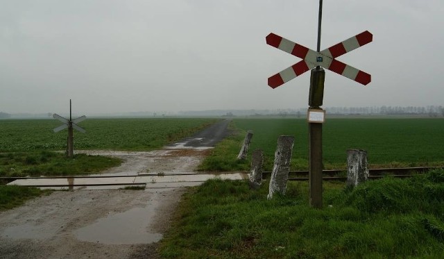 Przy samej linii nr 288 Nysa - Brzeg trzeba uregulować sprawy dotyczące 18 przejazdów kolejowo-drogowych.