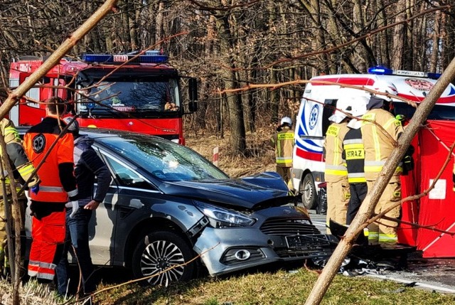 Do śmiertelnego wypadku doszło w niedzielę (27.02) między Ziębicami a Nowym Dworem.